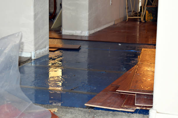 Professional Sewage Cleanup technician working in Lawson, MO